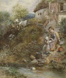 洗濯の日（紙にトイレ）